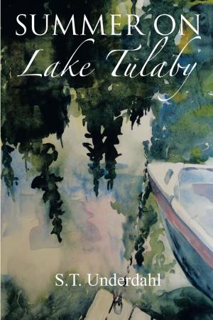 Book cover of Summer on Lake Tulaby