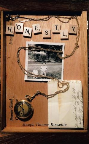 Cover of the book Honestly by Liz Shannon Miller