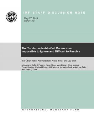 Cover of the book The Too-Important-to-Fail Conundrum: Impossible to Ignore and Difficult to Resolve by R. Mr. Johnston, Piroska Mrs. Nagy, Roy Mr. Pepper, Mauro Mr. Mecagni, Ratna Ms. Sahay, Mario Mr. Bléjer, Richard Mr. Hides