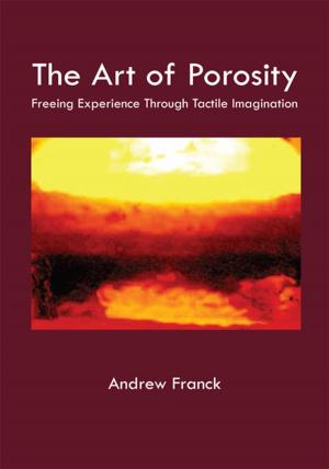 Cover of the book The Art of Porosity by C. David Jones