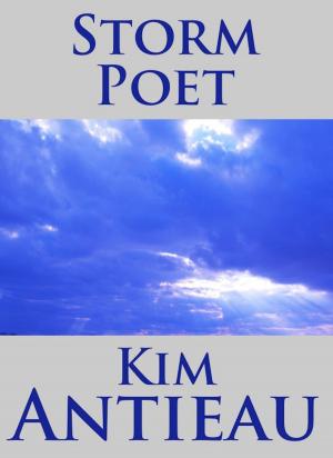 Book cover of Storm Poet