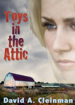 Cover of the book Toys In The Attic by Devyn Morgan