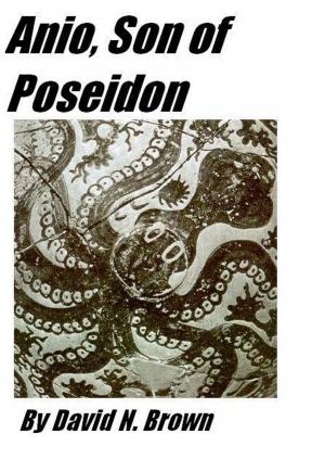 Cover of the book Anio, Son of Poseidon by David Brown