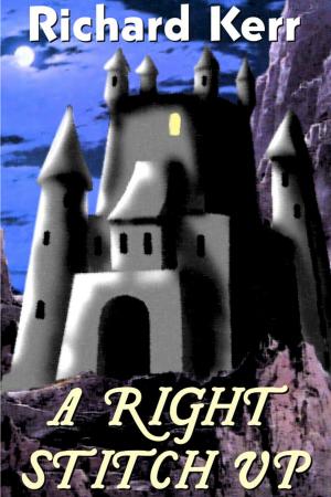 Cover of the book A Right Stitch Up by Robert Carranza