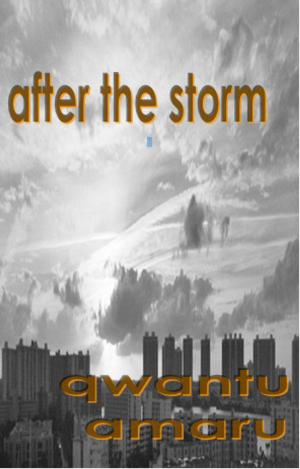 Cover of the book After the Storm by Kudret Alkan