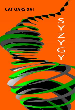 Book cover of Syzygy