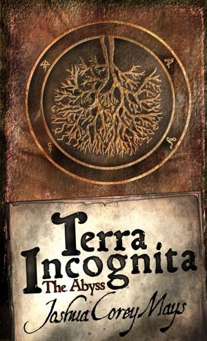 Cover of the book Terra Incognita Book one: The Abyss by John Ruch
