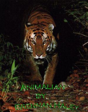 Cover of the book Animalian by Jonathan Snyder, Blake Schreckhise