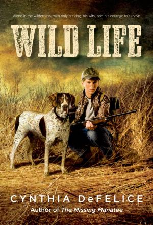 Cover of the book Wild Life by Claire A. Nivola