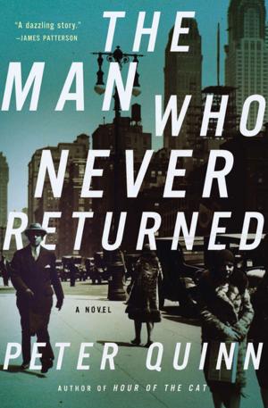 bigCover of the book The Man Who Never Returned by 