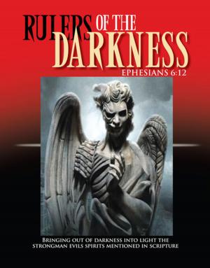 Cover of the book Rulers of the Darkness by Michael Boisvert
