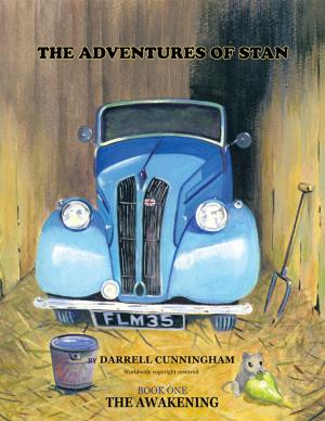 bigCover of the book The Adventures of Stan by 