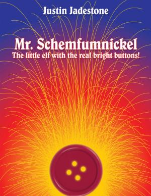 Cover of the book Mr. Schemfumnickel by J.C.Blumen Violett