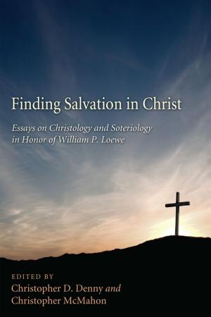 Cover of the book Finding Salvation in Christ by Luc Lang