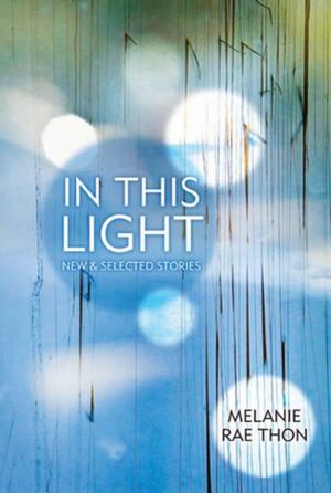Cover of the book In This Light by Paul Kingsnorth