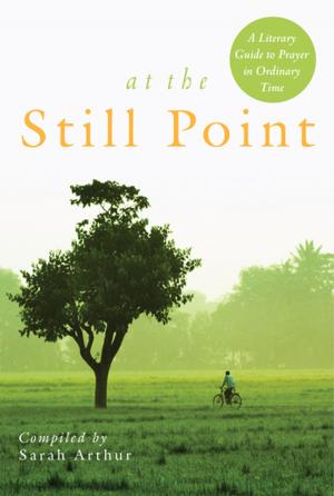 Cover of the book At the Still Point by Katherine James
