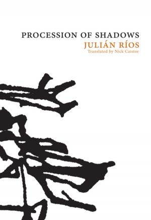 Cover of Procession of Shadows