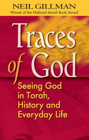 Book cover of Traces of God