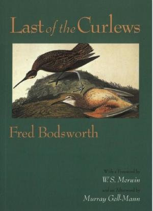 Cover of Last of the Curlews