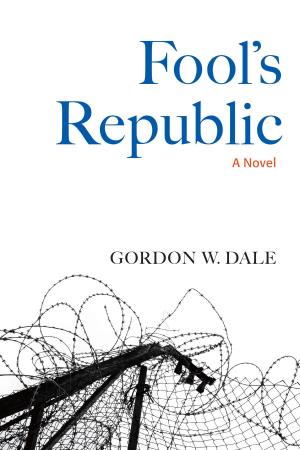 Cover of the book Fool's Republic by Judi Barrett