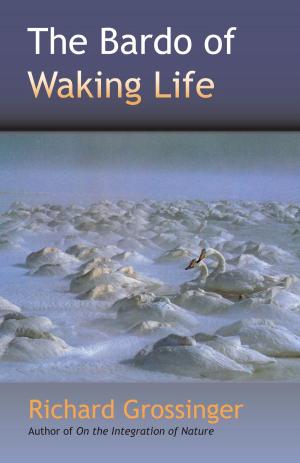 Cover of the book The Bardo of Waking Life by David Jubb