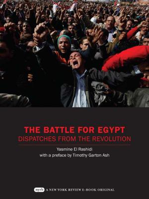 Book cover of The Battle for Egypt