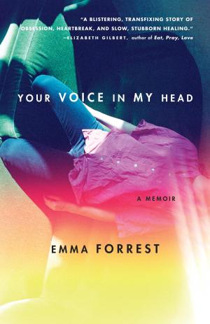 Cover of the book Your Voice in My Head by Amity Gaige