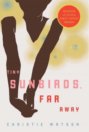 Cover of the book Tiny Sunbirds, Far Away by Jonathan Rabb