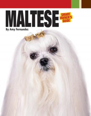Cover of the book Maltese by American Kennel Club