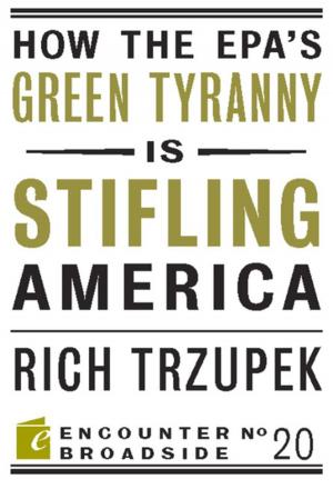 Cover of the book How the EPAs Green Tyranny is Stifling America by Sally C. Pipes