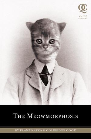 Book cover of The Meowmorphosis