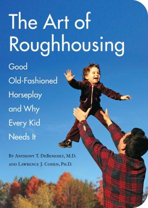 Book cover of The Art of Roughhousing