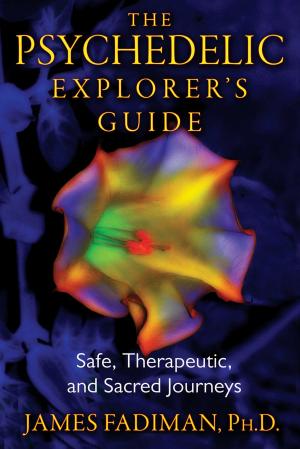 Cover of the book The Psychedelic Explorer's Guide by Leah Reena Goren