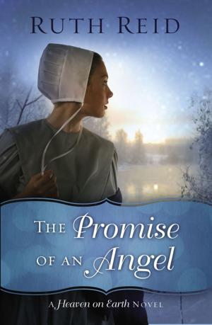 bigCover of the book The Promise of an Angel by 