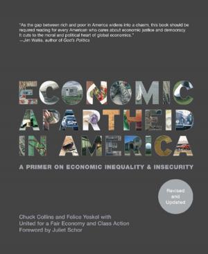 Book cover of Economic Apartheid In America