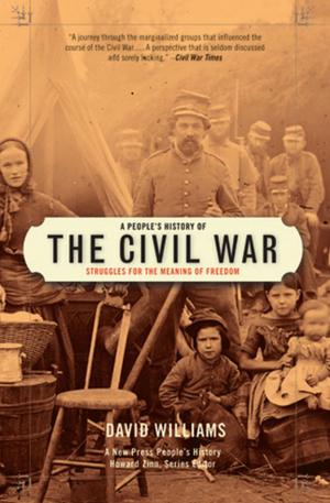 Cover of the book A People's History of the Civil War by Kathryn S. Olmsted