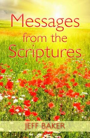Cover of the book Message From the Scriptures by Theresa Sneed