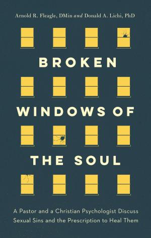 Cover of the book Broken Windows of the Soul by Dwight L. Moody