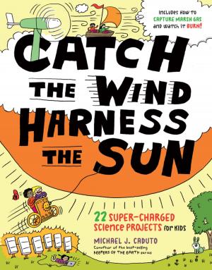 Cover of the book Catch the Wind, Harness the Sun by Rosemary Gladstar