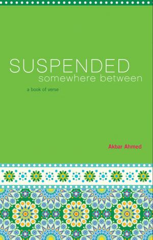 Book cover of Suspended Somewhere Between