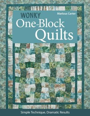 Cover of the book Wonky One-Block Quilts by Kim Schaefer