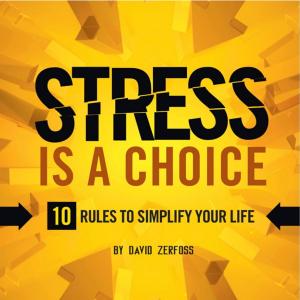 Cover of the book Stress Is A Choice by Anthony R. Ciminero, Ph. D.