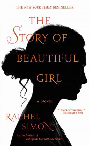 Cover of the book The Story of Beautiful Girl by Laurie Graham