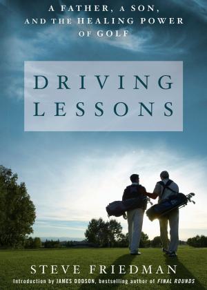 Book cover of Driving Lessons