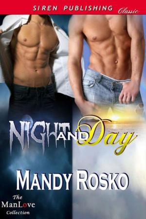 Cover of the book Night and Day by Cara Covington
