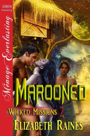 Cover of the book Marooned by Abby Blake