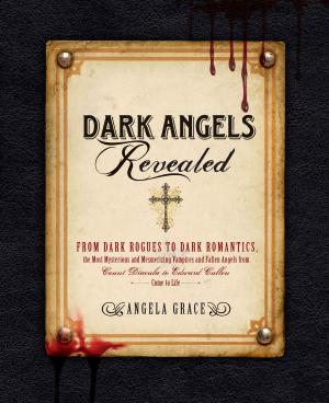 Cover of the book Dark Angels Revealed by Jackie Sobon