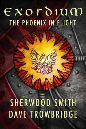 Cover of the book Exordium: 1 - The Phoenix in Flight by Katharine Eliska Kimbriel, Cat Kimbriel