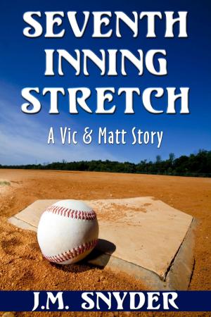 Cover of the book Seventh Inning Stretch by J.V. Speyer