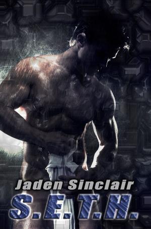 Cover of the book S.e.t.h. by Jaden Sinclair